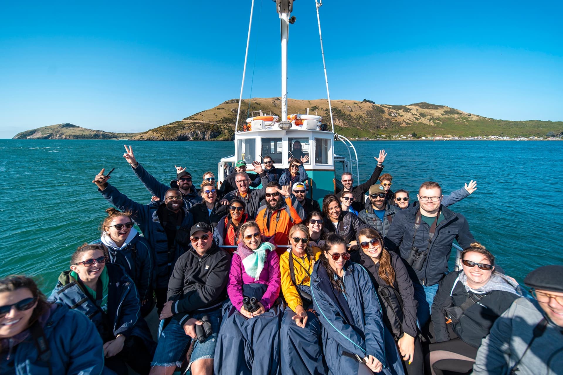 Monarch Wildlife Cruise and Peninsula Encounter Tour - image 2