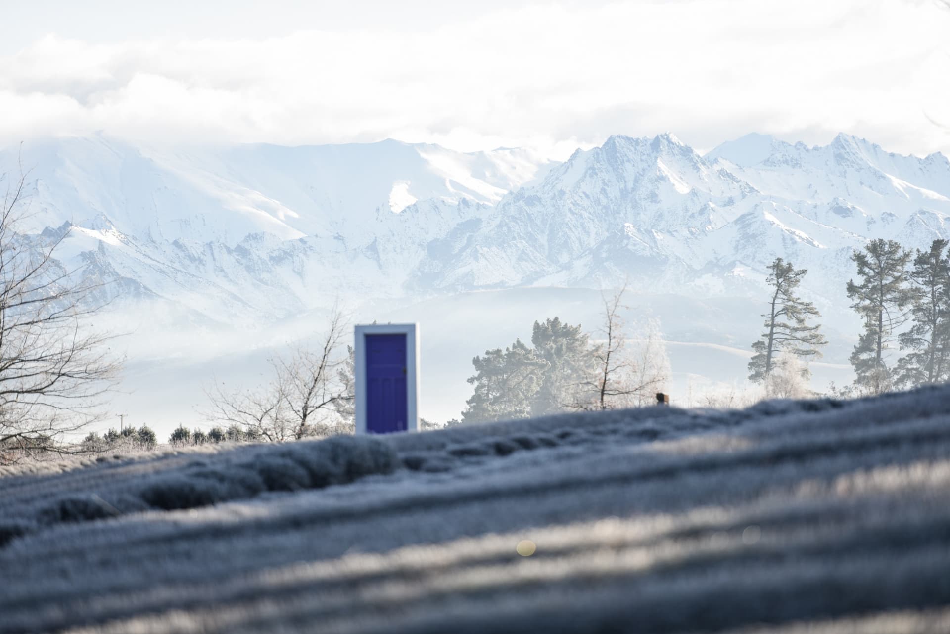 Wanaka Lavender Farm Ticket - image 8
