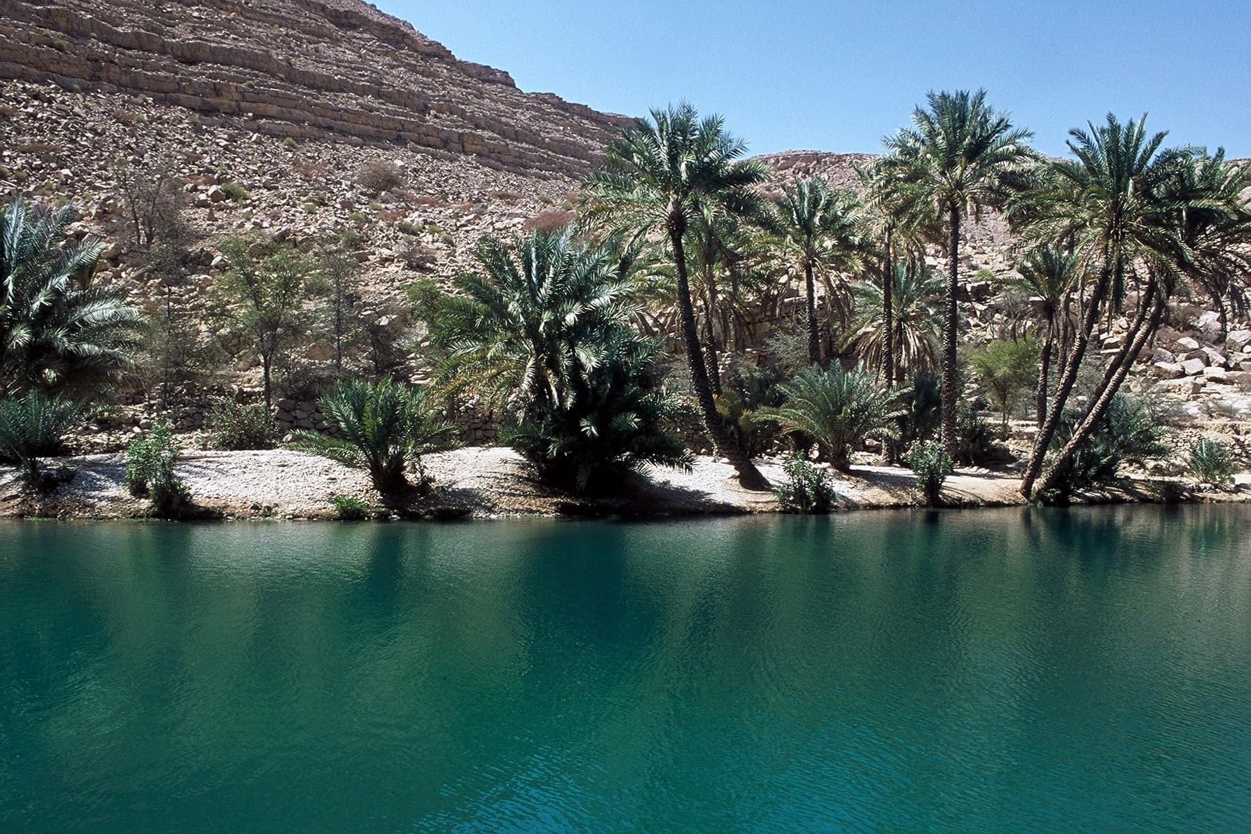 DESERT EXPEDITION TOUR 2 Days & 1 Night - image 6