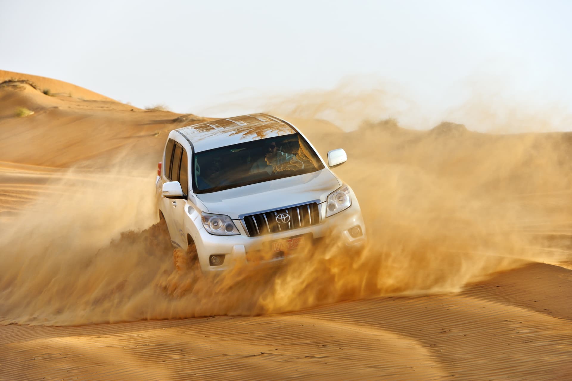 DESERT EXPEDITION TOUR 2 Days & 1 Night - image 2