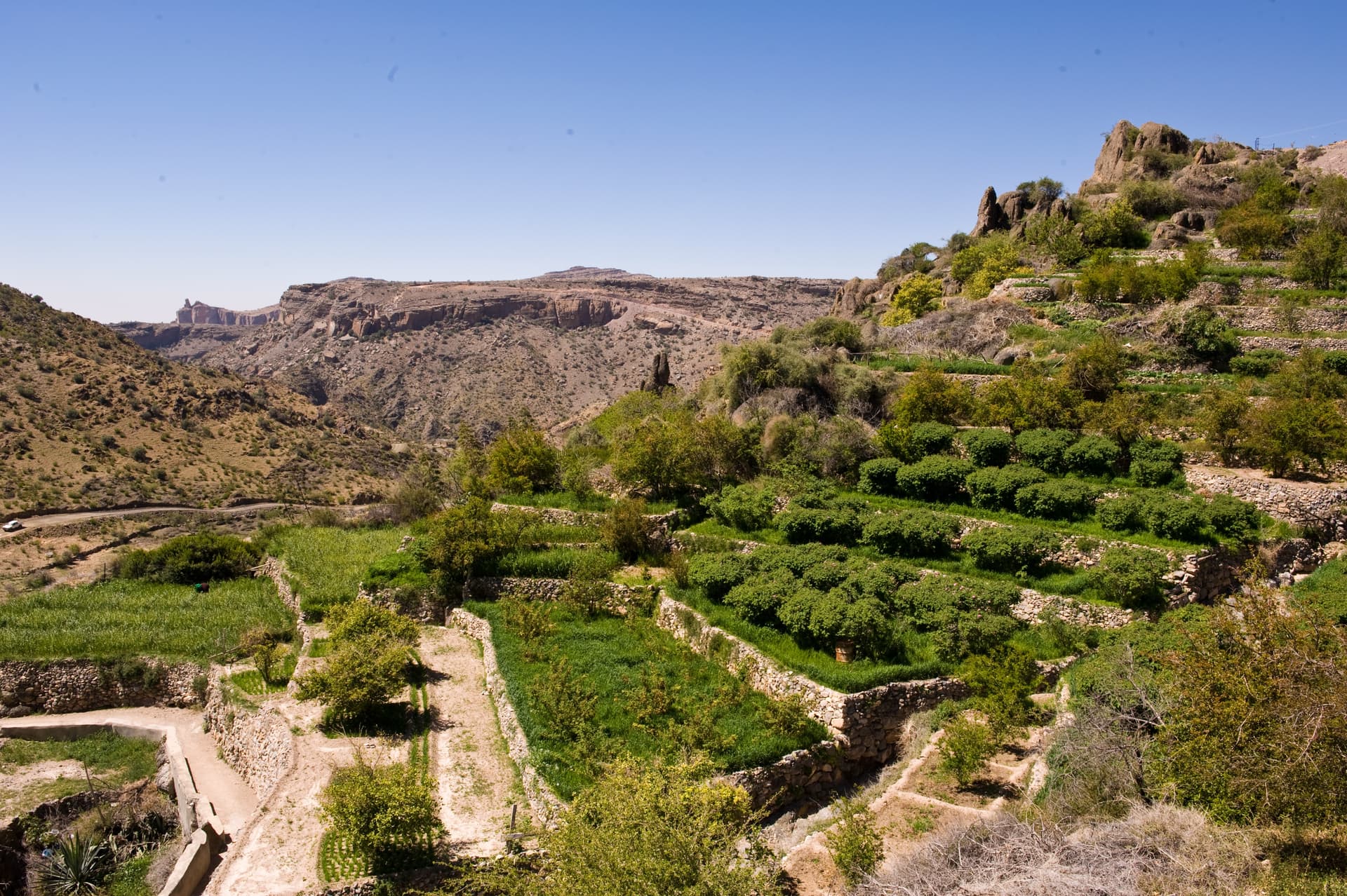 Oman Escapade – 6 Nights / 7 Days - image 15