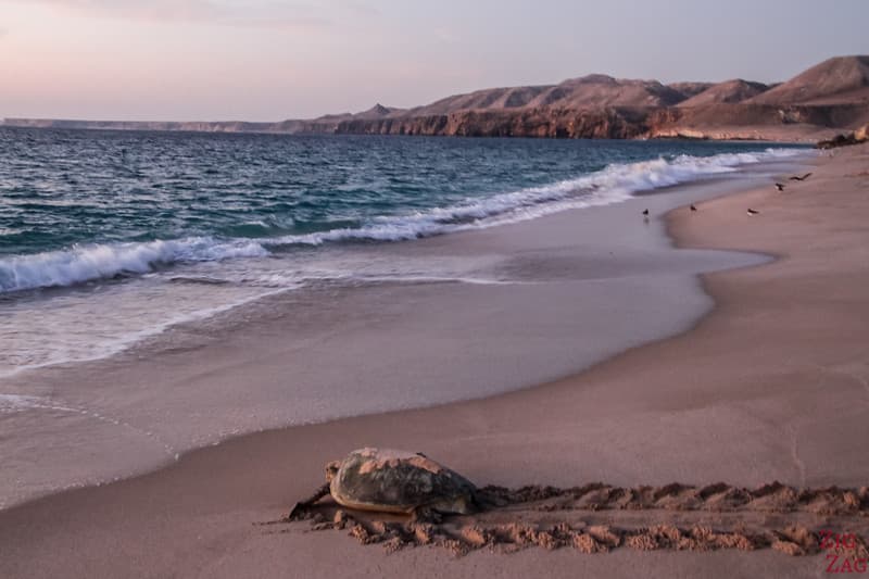 Oman Escapade – 6 Nights / 7 Days - image 7